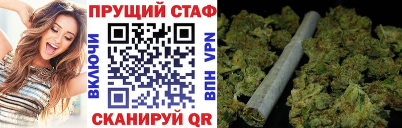МЕФ Каменка