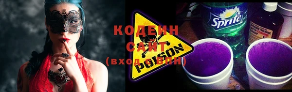 индика Абинск