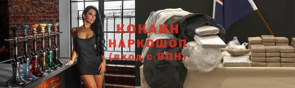 индика Абинск