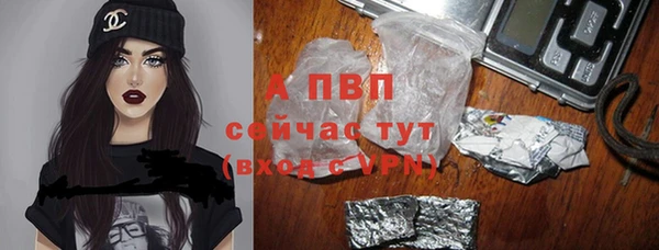 ешки Алексин