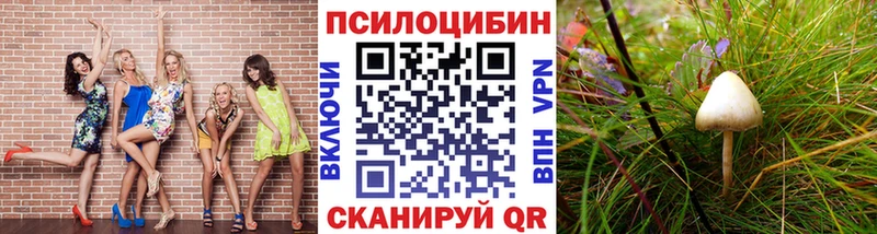 Псилоцибиновые грибы мухоморы  цена   Каменка 